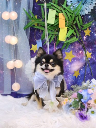 20250715ボスくん